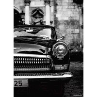 Картина на стекле Stamprint Волга 21 VR015 (70x50)