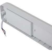 Светильник ЭРА ЖКХ SPB-103-2-40K-012 Б0052938 в Витебске