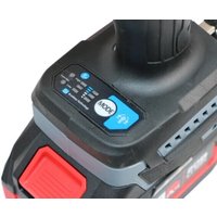  Profipower ProfiSet-2D20 (воздуходувка, цепная пила, 2 АКБ)