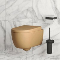 Сиденье для унитаза Ambassador Abner 102T20501 (темно-бежевый матовый)