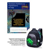 Школьный рюкзак SkyName R2-208 + брелок мячик