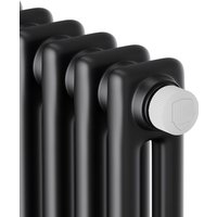 Стальной трубчатый радиатор Royal Thermo Insignia VC2180 - 12 секций RAL9005m