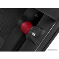 Электрическая беговая дорожка Titanium Masters Physiotech X-Compact в Барановичах