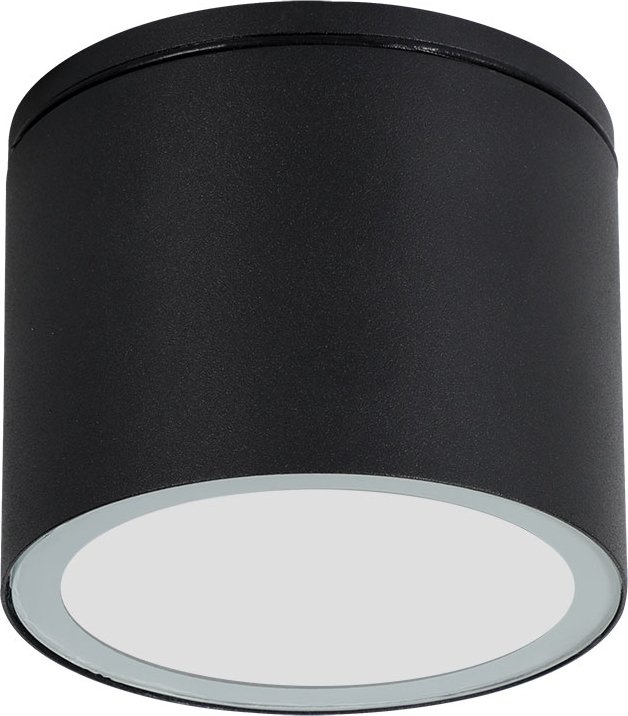 

Уличный подвесной светильник Arte Lamp Piautos A1913PF-1BK