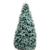 Ель Смерека-Плюс Премиум Голубая 1.8 м