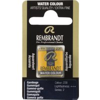 Акварельная краска Rembrandt 238 05862381 (гуммигут, кювета)