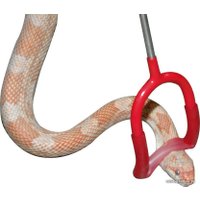 Крюк для рептилий Lucky Reptile Snake Pin Hook LHP-60