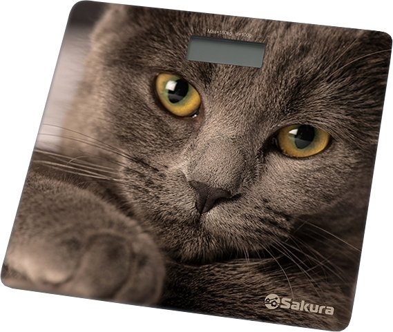

Напольные весы Sakura SA-5065CT