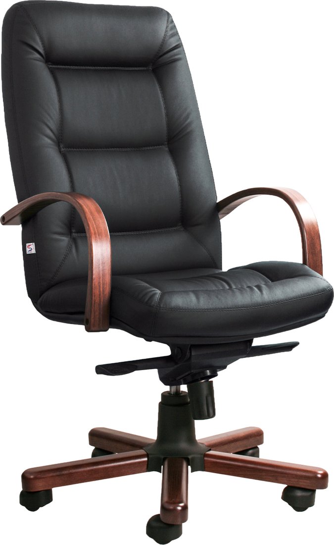 

Офисное кресло Белс Senator Extra A SP 400290-75/SPA (натуральная кожа, черный)