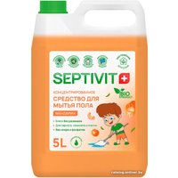 Средство для пола Septivit Мандарин (5 л)