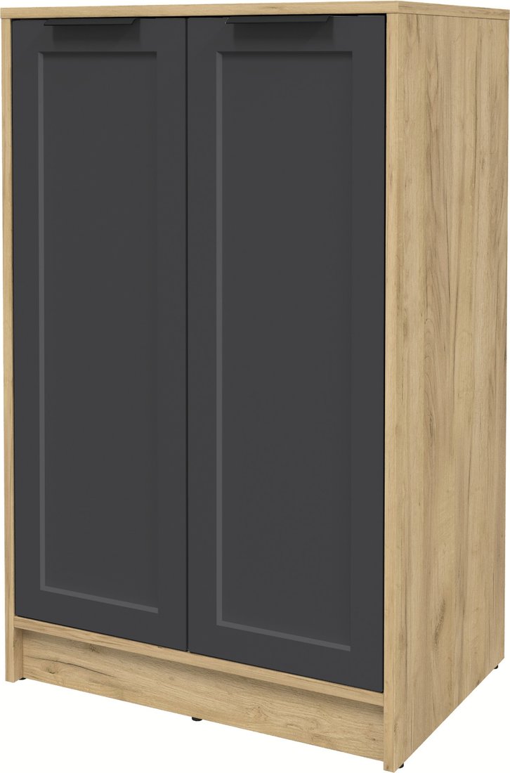 

Тумба Интерлиния Концепт Тренд КТ-Т64 (дуб золотой/пепел)