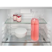 Холодильник Liebherr ICBSd 5122 Plus