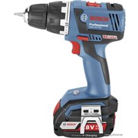 Дрель-шуруповерт Bosch GSR 18 V-EC Professional 06019D6105 (два аккумулятора 2 А*ч)