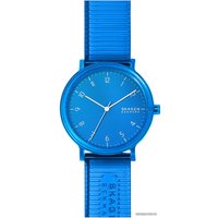 Наручные часы Skagen SKW6602