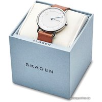 Наручные часы Skagen SKW6487