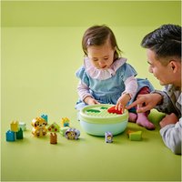 Конструктор LEGO Duplo Сортировщик фигур: дом для щенков 10441