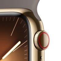 Умные часы Apple Watch Series 9 LTE 41 мм (корпус из нержавеющей стали, золотистый/темно-серый, спортивный силиконовый ремешок S/M)