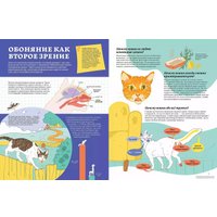 Энциклопедия издательства Альпина Паблишер. Секреты кошек. Как понять свою кошку и подружиться с ней (Рауш С.)