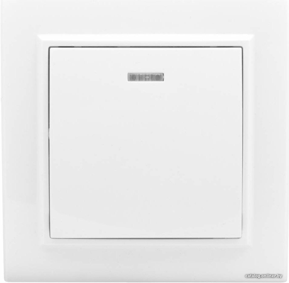 Выключатель EKF Basic Минск ERV10-121-10