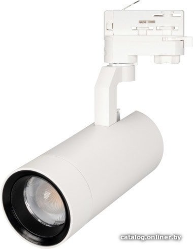 Трековый светильник Arlight LGD-GELIOS-4TR-R80-30W Day4000 031221