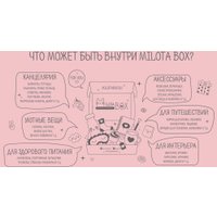 Подарочный набор Milota Box Capybara Box Mini MBS031