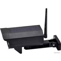 Муляж Sipl AK333