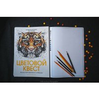 Книга издательства МИФ. Цветовой квест. Непростые картины по номерам (Вебстер Дж.) в Барановичах