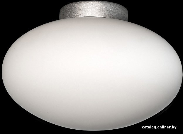 Светильник Lightstar 807010
