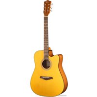 Акустическая гитара Ramis RA-G02C