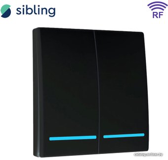 Умный выключатель Sibling Powerlight-M2B 2-канальный