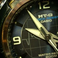 Микроскоп Magus Stereo D8T Plus 85282