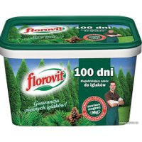 Удобрение Florovit Для хвойных, туй 100 дней гранулированное (4 кг)