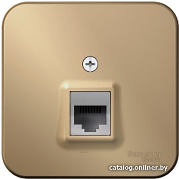 Розетка компьютерная Schneider Electric Blanca BLNIA045004