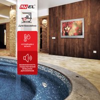 Телевизор AVEL AVS655SMFM