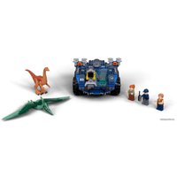 Конструктор LEGO Jurassic World 75940 Побег галлимима и птеранодона