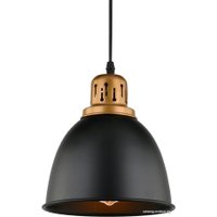 Светильник Arte Lamp Eurica A4245SP-1BK