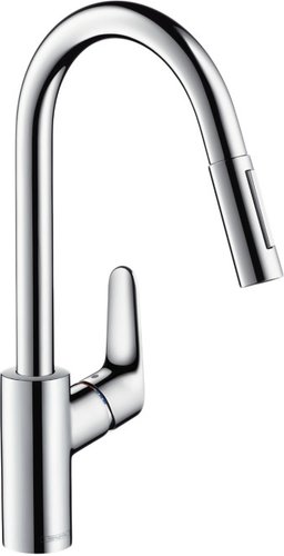 Hansgrohe Focus 31815000