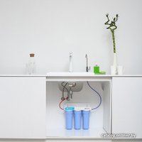 Стационарная система "под мойкой" ECOSOFT Absolute FMV3ECO