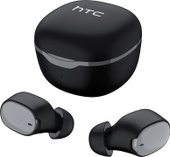 True Wireless Earbuds (черный)