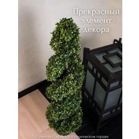 Искусственное растение Merry Bear Home Decor Самшит спиралевидный в горшке AQ10090