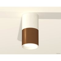 Припотолочная люстра Ambrella light Techno XS6304060 SCF/SWH