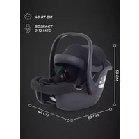 Детское автокресло Rant Carry 2.0 AY329 (черный)
