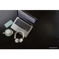 Наушники Plantronics Backbeat 500 [207840]