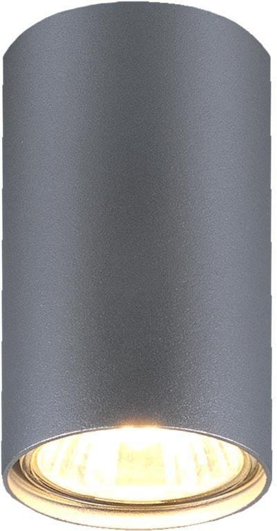 

Точечный светильник Elektrostandard 1081 GU10 SL
