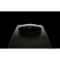 Телефон Xiaomi 13 Ultra 12GB/256GB китайская версия (черный)