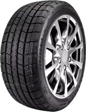 Winter RX621 205/55R17 91H