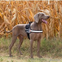 Шлея Ferplast Hercules P XL 75468517 (черный)