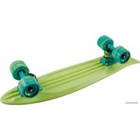 Пенниборд Tech Team Fishboard 23" 2021 (зеленый)