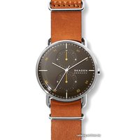 Наручные часы Skagen SKW6537