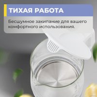 Электрический чайник Evolution KG19171